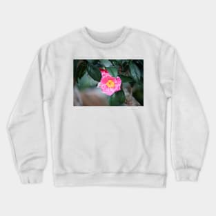 Pink Camellia Japonica Crewneck Sweatshirt